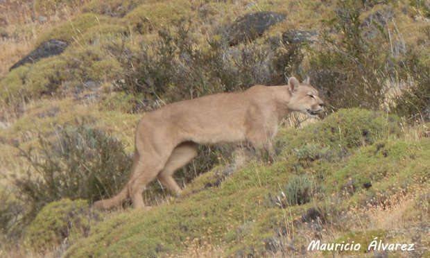 Imagen ilustrativa. Foto: archivo