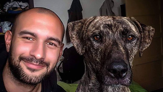 Vida de perros, por Andrés Peirano
