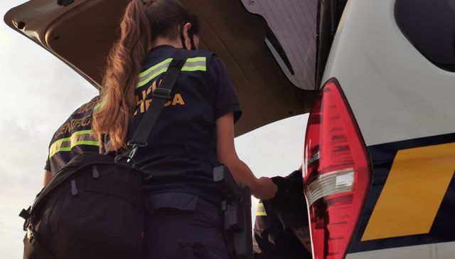 Armados y peligrosos