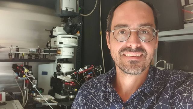 Dale campeón, dale campeón