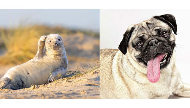 Escribe Esteban Valenti