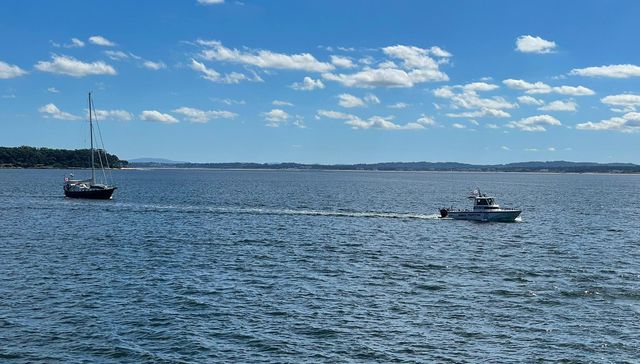 No hablamos del chivito