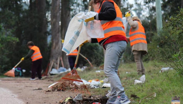 Poner cabeza y aguantar el tirón