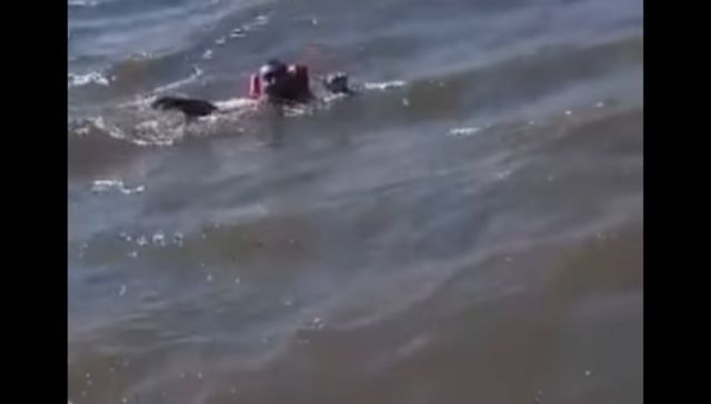 Zambullida involuntaria