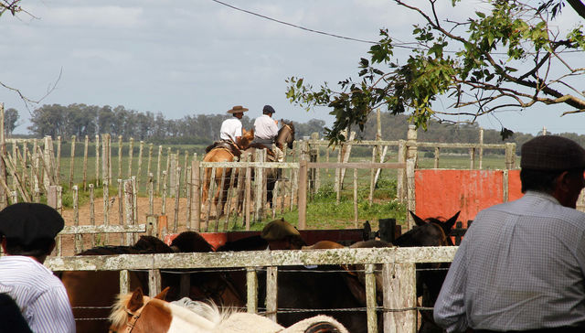 No se olviden del pago