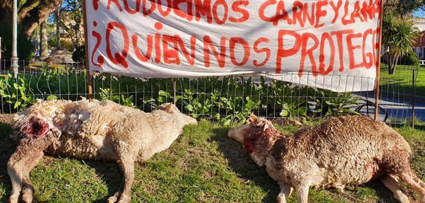 Protesta de productores ovinos en 2019 en Cerro Largo. La Voz de Melo