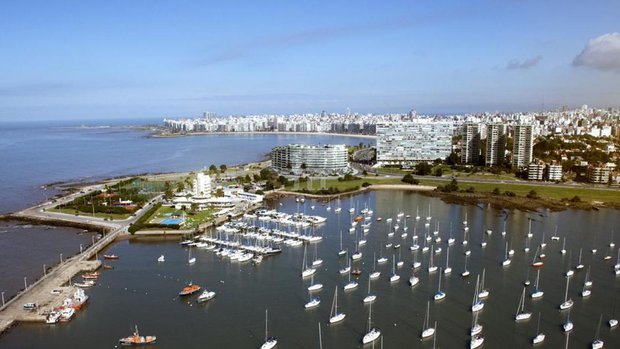 Montevideo: auto, con un ocupante, se precipitó al agua a la altura del puerto del Buceo
