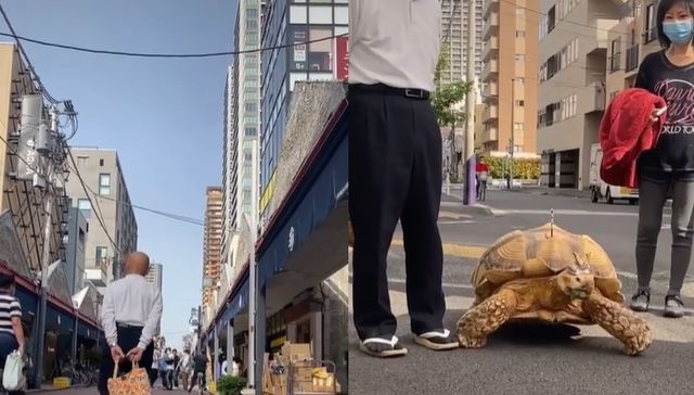 Un poquito caminando
