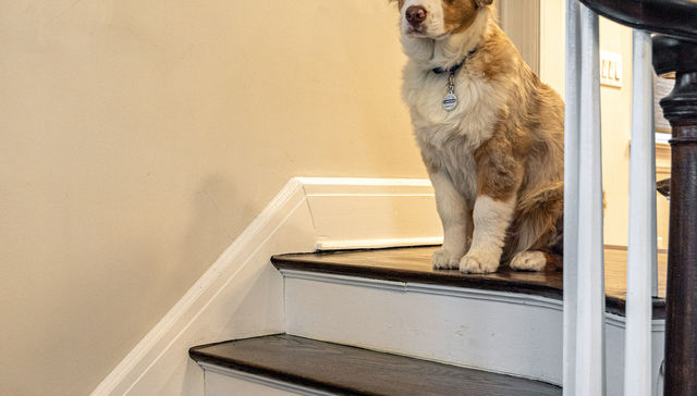 Por The New York Times