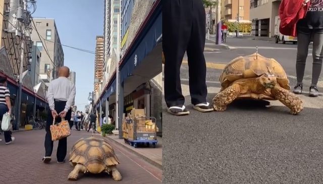 Un poquito caminando