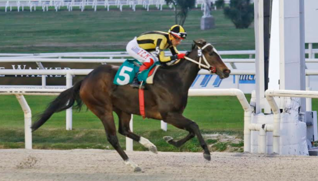 EL SHOW DEBE CONTINUAR