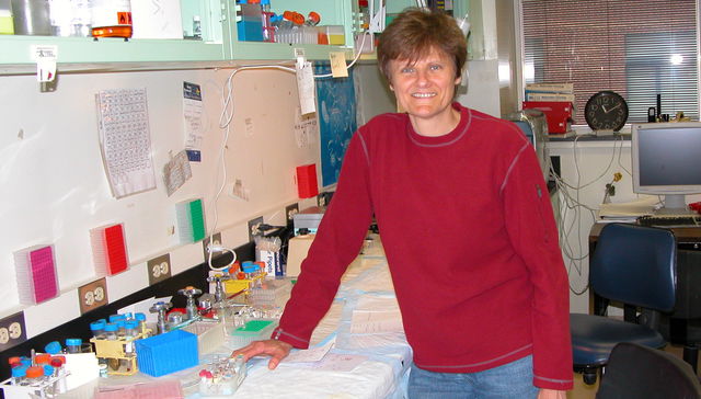 La mente detrás de todo