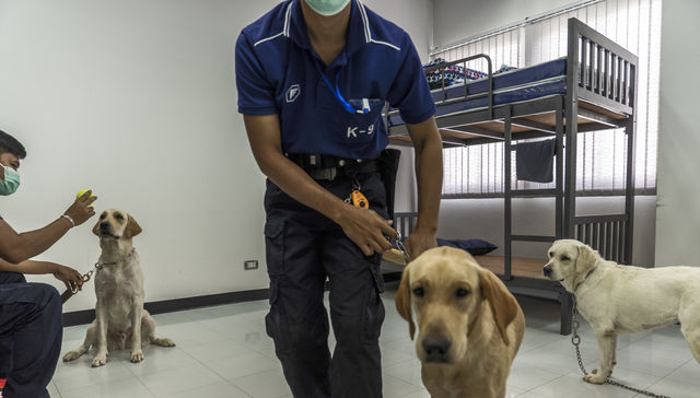 Por The New York Times