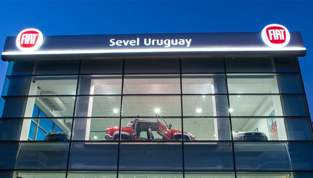 Vuelo solidario