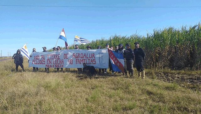 Marcha de peludos