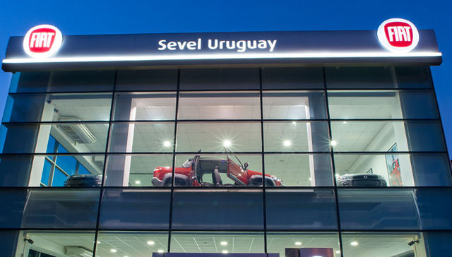 Vuelo solidario