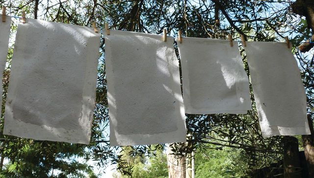 Una semilla al cambio