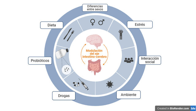 Enfoque bidireccional