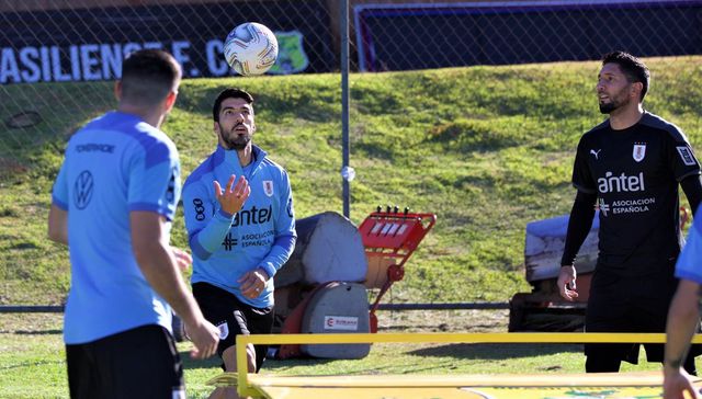 Se va armando la cosa