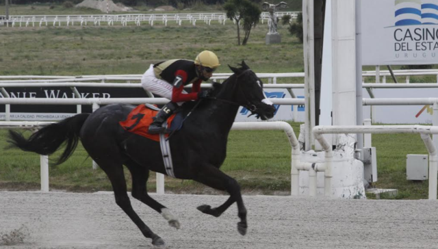 Para no perderse ninguno