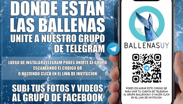 El show de la ballena