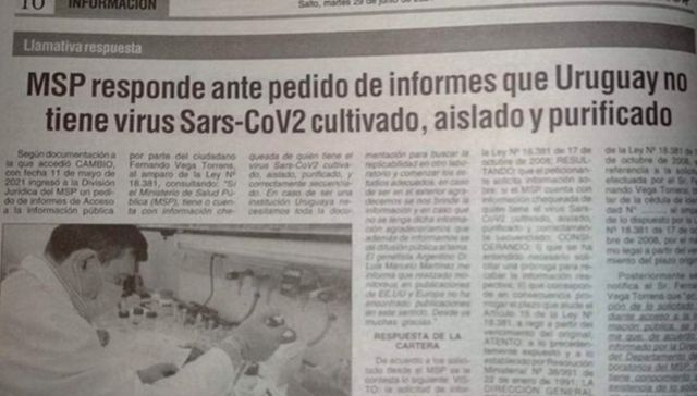 Infodemia interminable