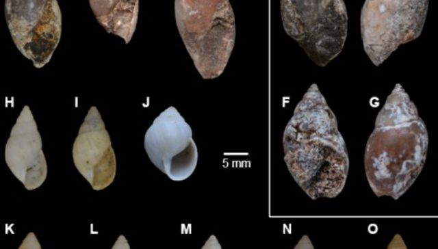 De la era de los dinosaurios