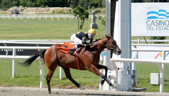 ¿Qué hay para ver?