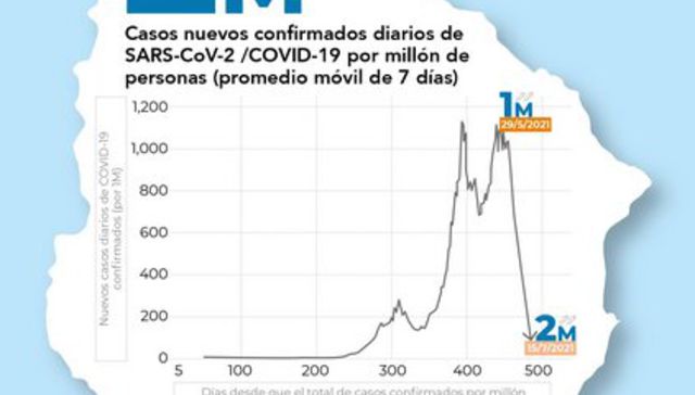 Rebaño ya te siento