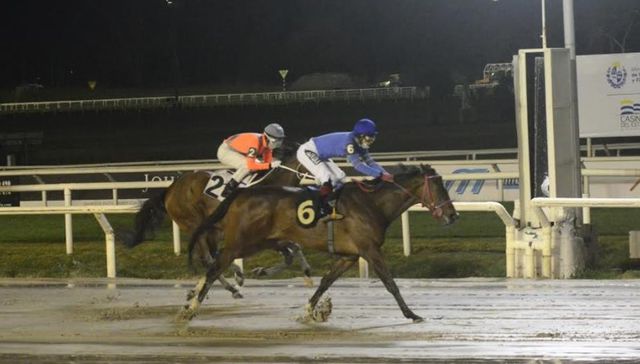 Preparando lo que se viene