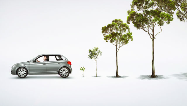 POR EL MEDIO AMBIENTE