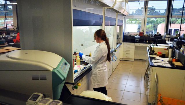 AUTONOMÍA ECONÓMICA