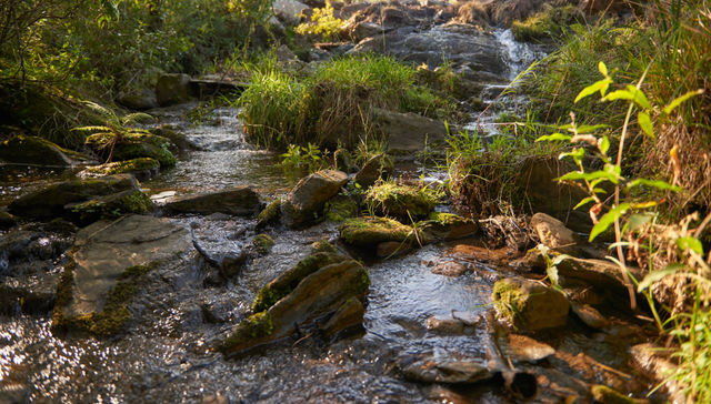 CAMINO A LA SUSTENTABILIDAD