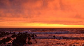 A pasear se ha dicho