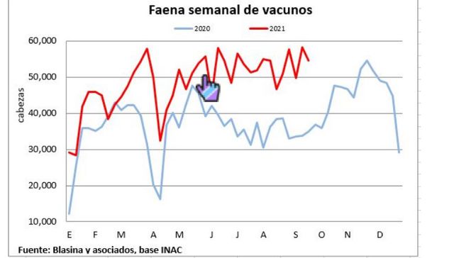 Se mantiene alta