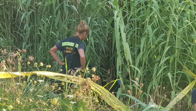 Triste, solitario y final