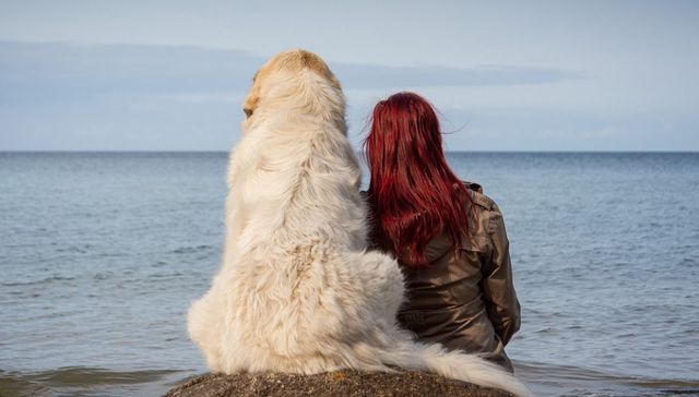 Vida de perros: por Andrés Peirano