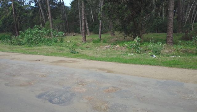 Hay calle en los pozos