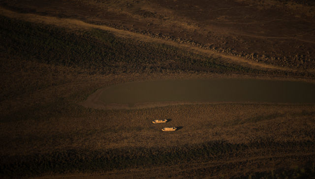 Por The New York Times