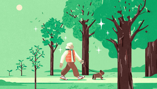 Por The New York Times