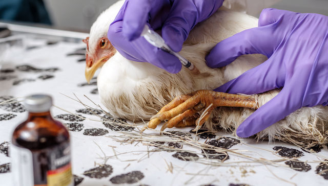 Por The New York Times