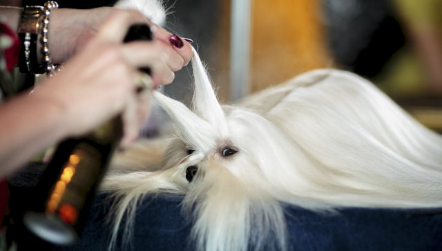 Por The New York Times