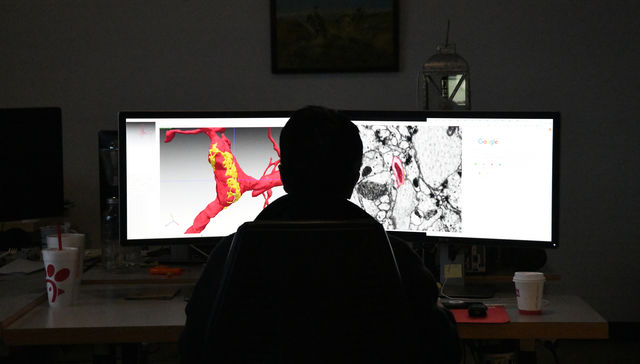 Por The New York Times