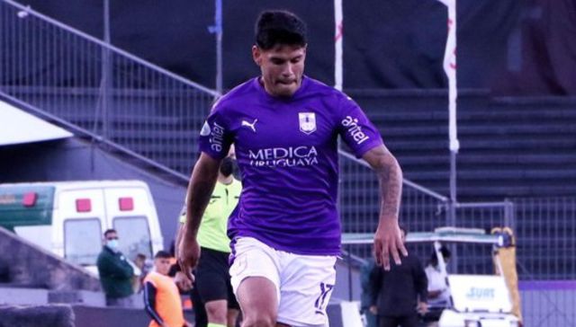 Remontó la cometa