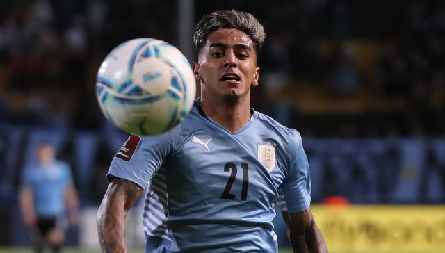 Se viste de celeste