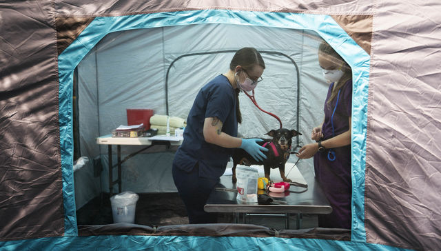 Por The New York Times