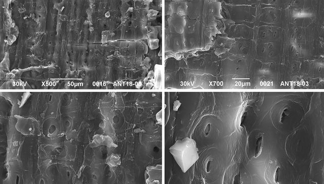 Por The New York Times