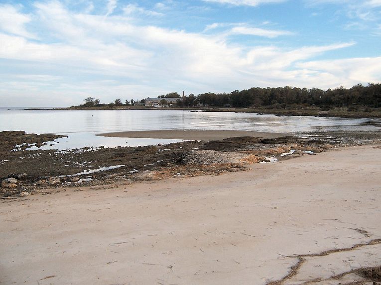 Prefectura rescató un cadáver en Punta Yeguas