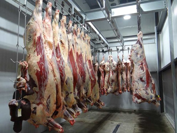 Exportaciones tuvieron en febrero una caída de 8% interanual marcada por China y la carne