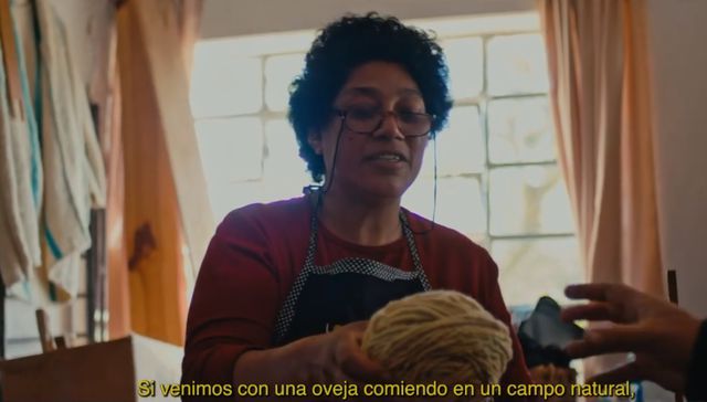 Conectar
